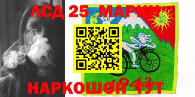 гашик Новодвинск