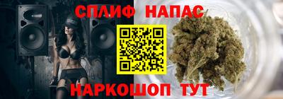 гашик Новодвинск