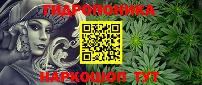соль ск Новокубанск