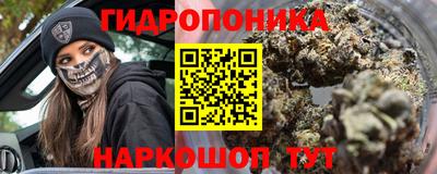 гашик Новодвинск