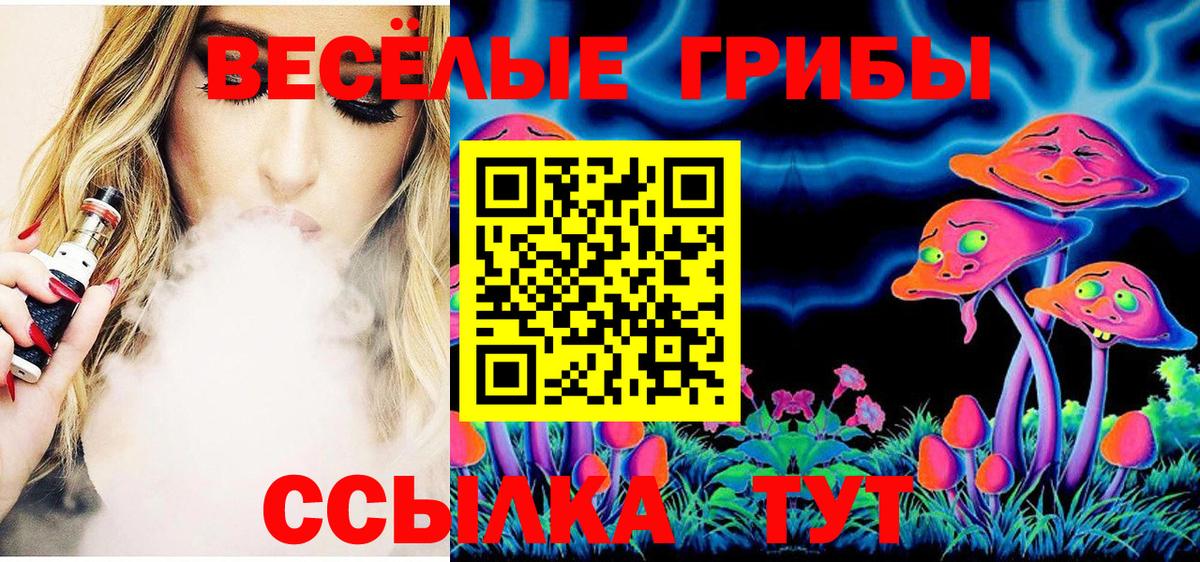 Советск  Галлюциногенные грибы Cubensis  Псилоцибиновые грибы GOLDEN TEACHER  Вход с VPN 